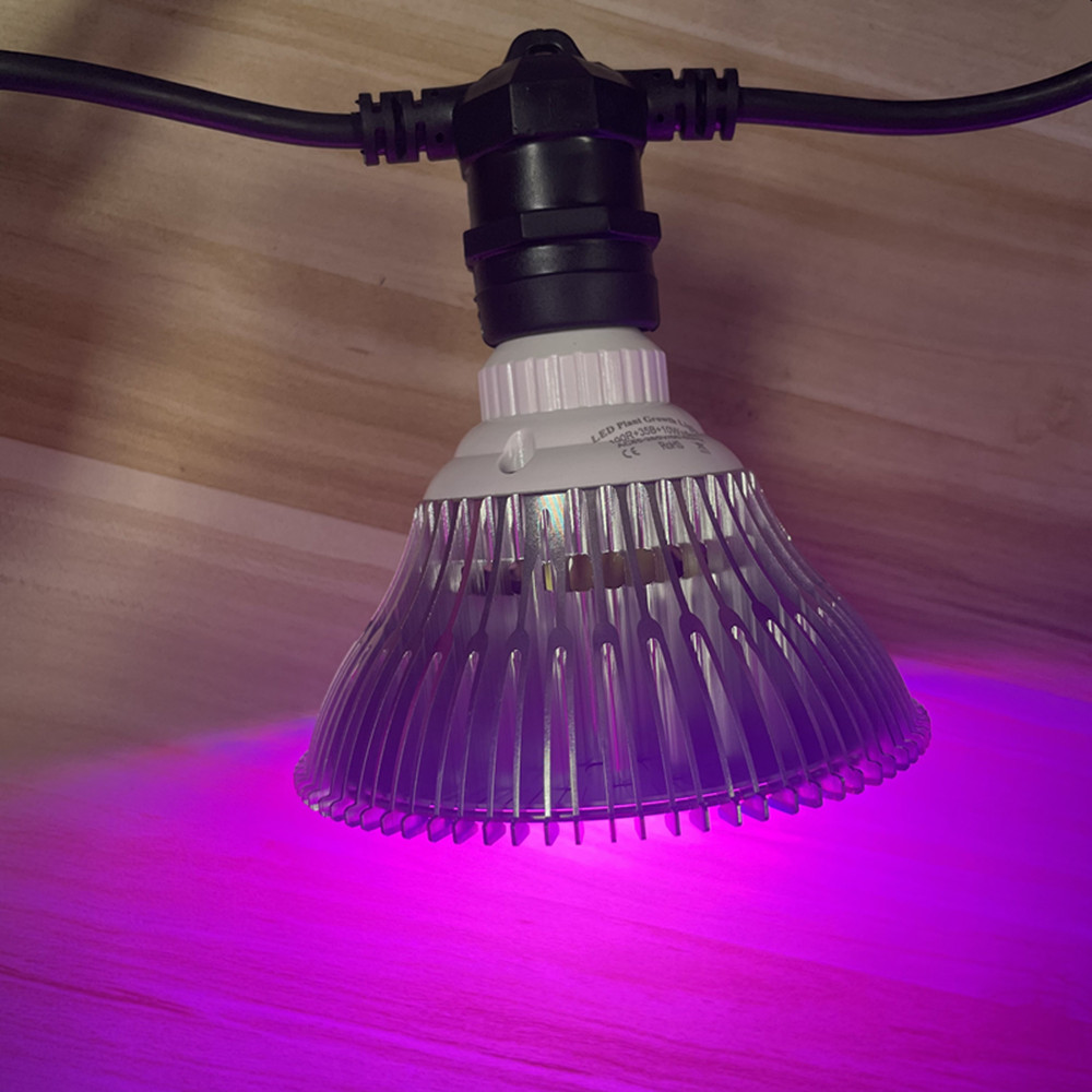 سلسلة إضاءة LED بطول 10 أمتار، - مراجعة Outdoor Power Adapter وسعره